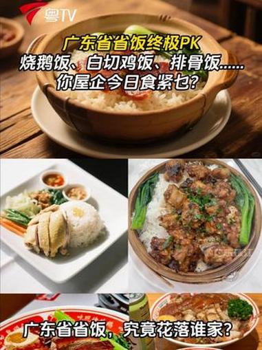 广东省省饭终极PK!烧鹅饭、白切鸡饭、排骨饭……你屋企今日食紧乜?一齐系评论区分享下啦～广