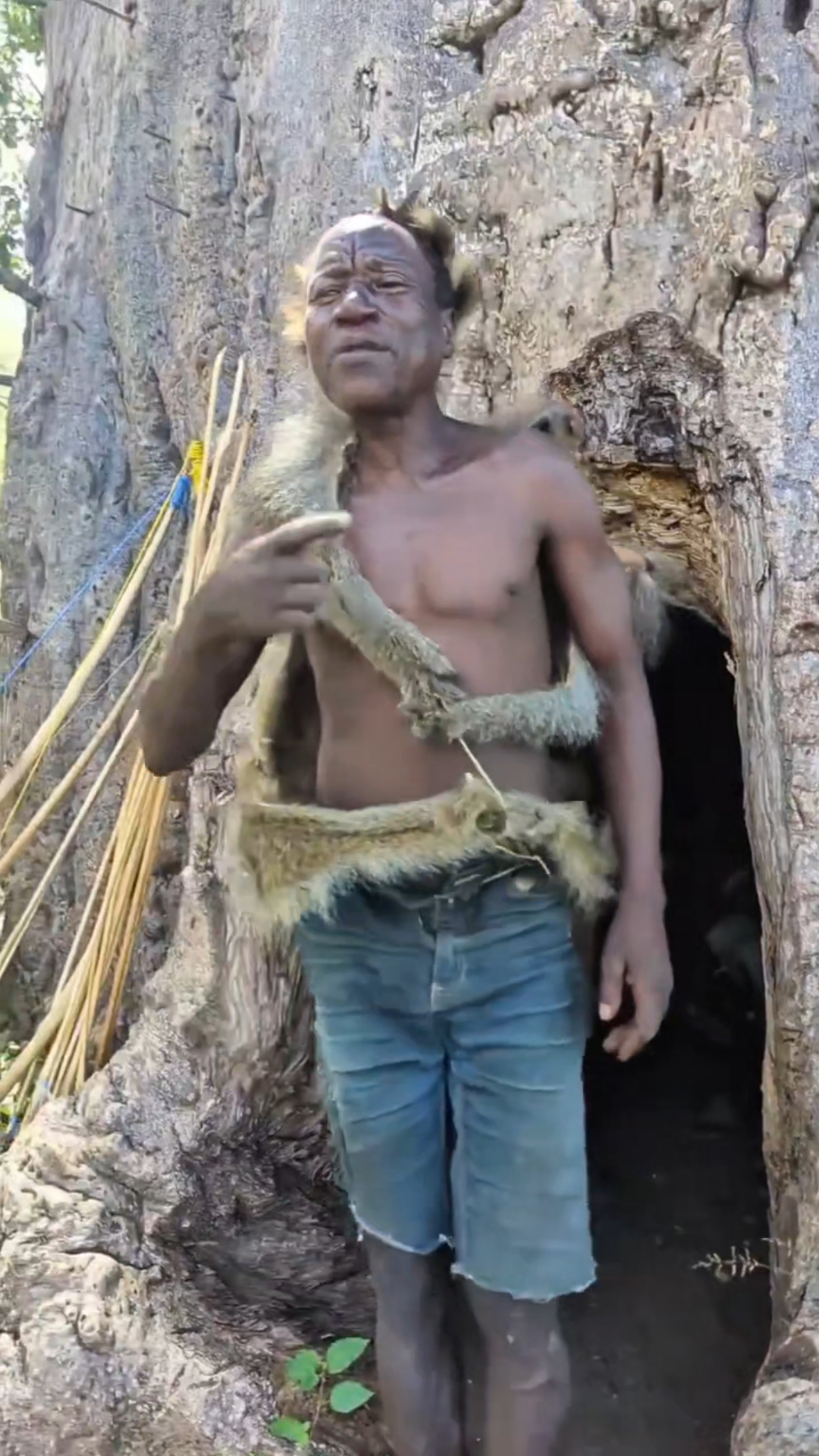 哈扎比部落人住在猴面包树干里