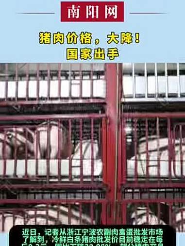 猪肉价格,大降!国家出手 新闻
