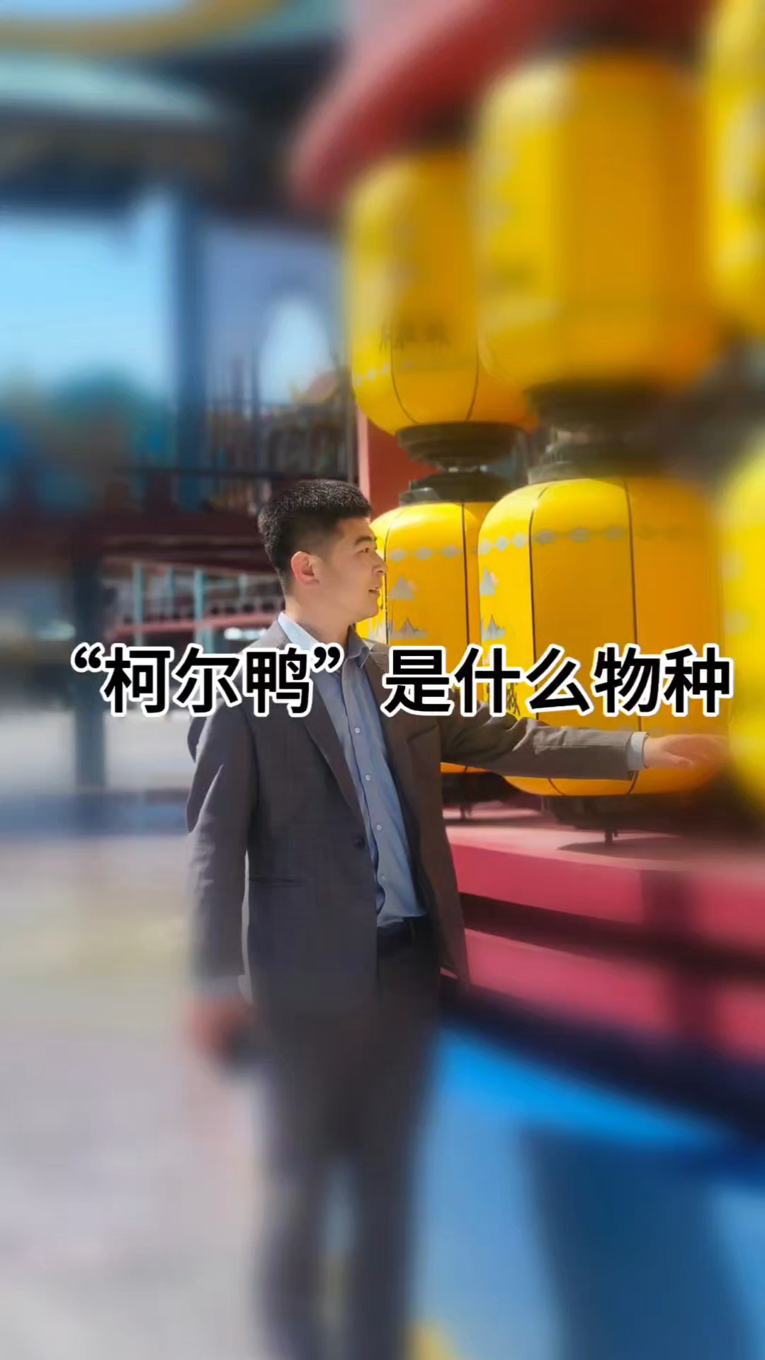 “柯尔鸭”是什么物种?