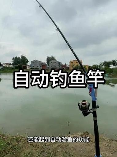 不用你看着，就可以自动刺鱼还能自动溜鱼的海竿，不仅使用方便而且还能提高中鱼率#自动钓鱼 #