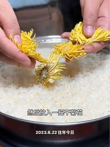 立秋后天气干燥,把菊花放在米饭上蒸一蒸,解决一家人的大烦恼 教你在家制作甜酒酿 菊花酒 甜