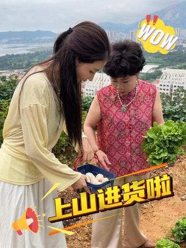 上山进货啦，用土鸡蛋做的蛋糕你们吃过吗。#蛋糕 #日常 #婆媳 #农村生活