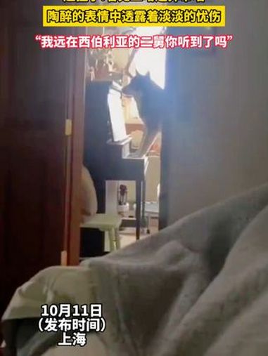 起猛了!看见二哈连弹带唱,陶醉的表情中透露着淡淡的忧伤……(视频来源-)二哈 狗狗的迷惑行
