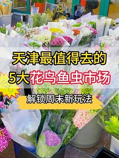 天津值得一去的5大花鸟鱼虫市场！周末快来换种玩法！花鸟鱼虫市场 游玩攻略 花市 周末去哪儿