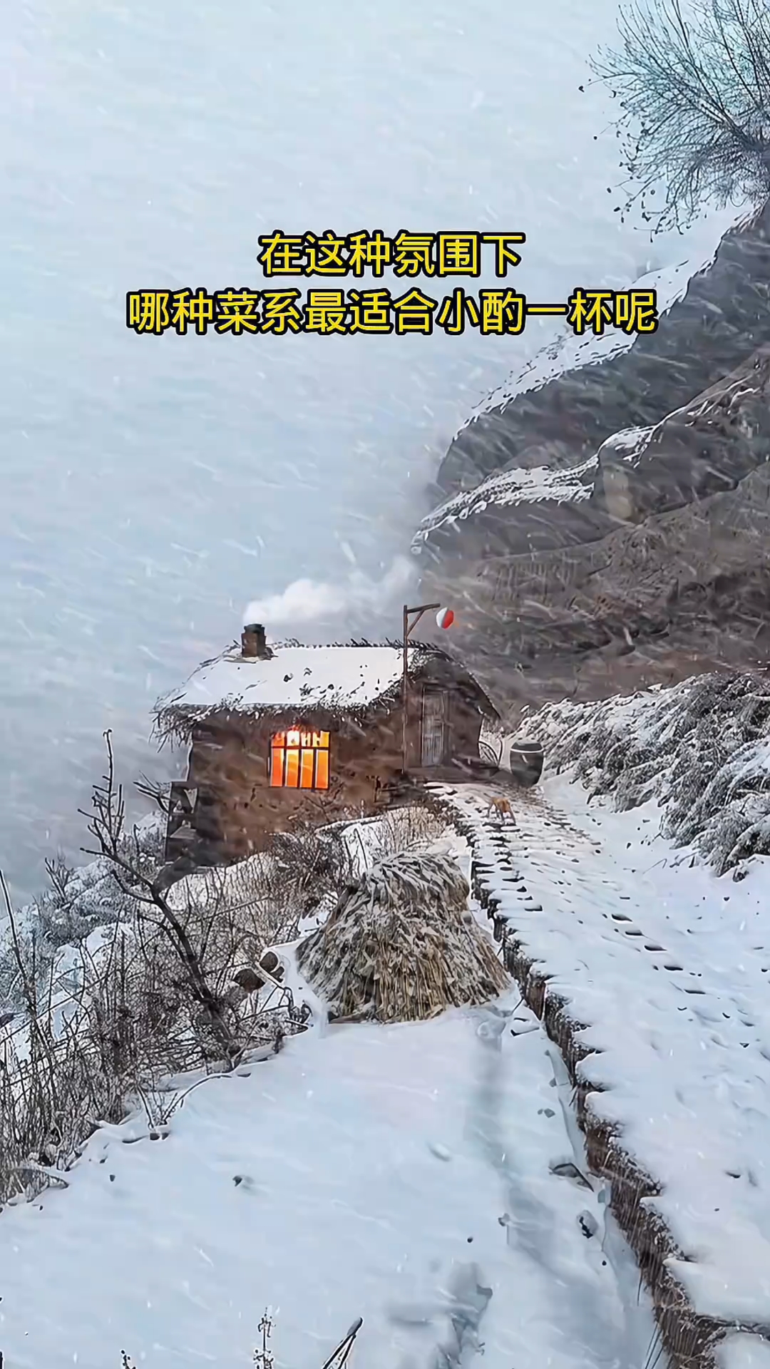 我是北方人我选择涮羊肉,各类视频素材分享