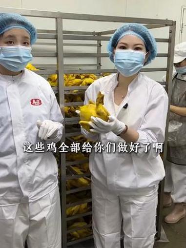 新鲜出炉的盐焗鸡，个个都是健壮的走地鸡#丽掌柜 #梅州特产 #盐焗鸡 #丽掌柜 #爱家姑嫂