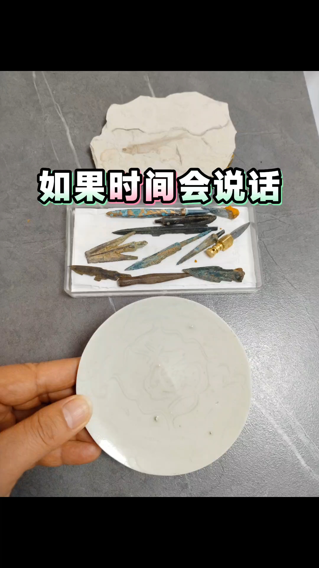 历史 文物 白垩纪 恐龙 狼鳍鱼 商周秦汉青铜器 箭簇 宋代