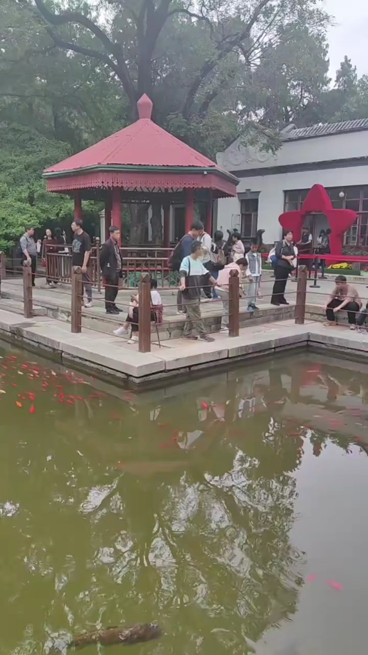 **毛主席办公室里的革命岁月**