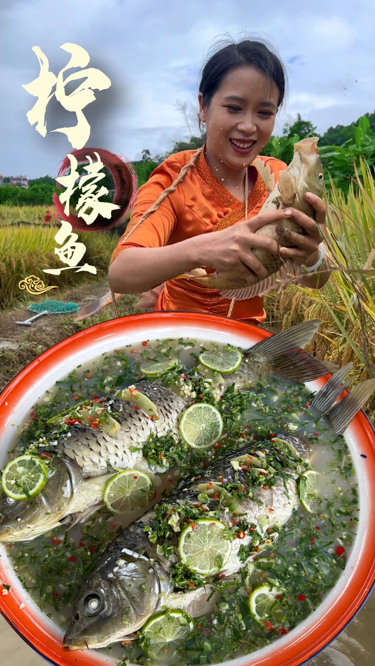 吃稻花长大的稻花鱼个大肥美,捉两条做傣味柠檬鱼