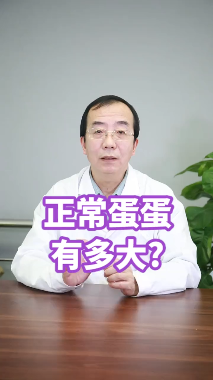 男性的“蛋蛋”正常有多大呢?  有网友私信我说  发现自己的“蛋蛋”有点小  还没有鸡蛋大