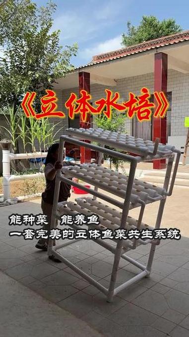用PVC管制作鱼菜共生系统 #记录真实生活 #手工diy #水培植物 #鱼菜共生