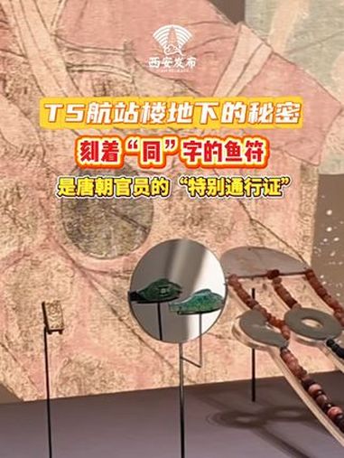 2月26日,位于T5航站楼的西部机场博物馆已正式对外开放,四方馆内亮相的“同”字鱼符正是武