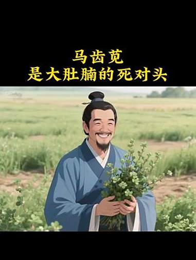 马齿苋 马齿苋的功效 大肚腩的克星 马齿苋敷脸的功效与作用 健康养生