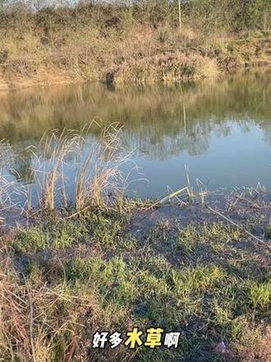 我钓不到鱼等你来挑战 野钓 钓鱼 钓点分享 野钓鲫鱼 钓鱼的乐趣只有钓鱼人懂