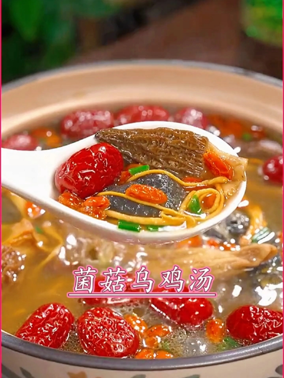 菌菇乌鸡汤最正确的做法,不腥不柴,营养不流失,而且超级好喝