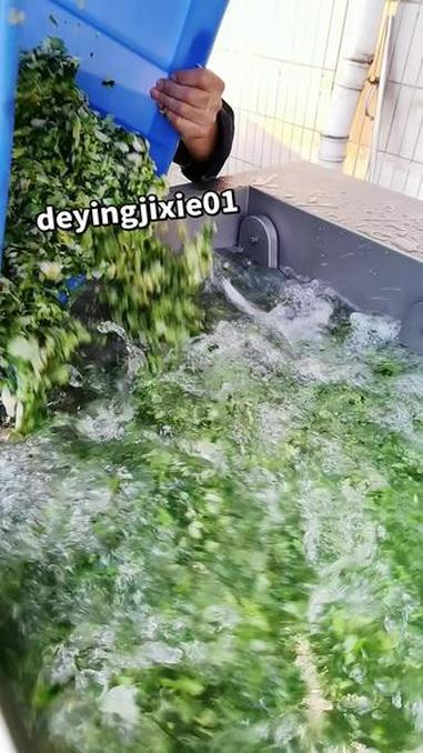蔬菜清洗机 蔬菜清洗机 大型洗菜机 洗菜机 商用净菜加工设备