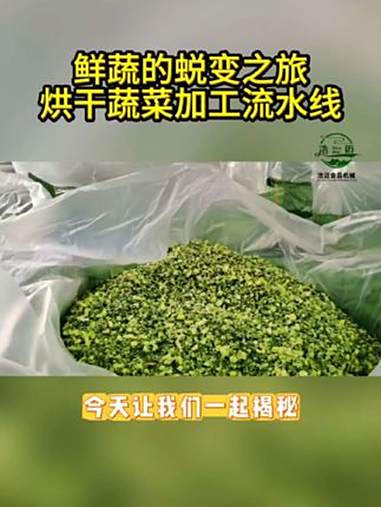 鲜蔬的蜕变之旅，烘干蔬菜加工流水线。烘干蔬菜 烘干蔬菜设备 烘干机 气泡清洗机 漂烫机