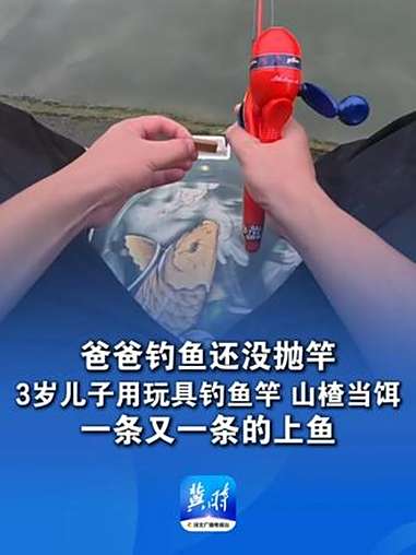 爸爸钓鱼还没抛竿,3岁儿子用玩具钓鱼竿、山楂当饵,一条又一条的上鱼,爸爸气馁:“下次别跟着