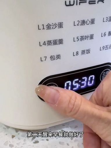 蒸蛋器多功能 蒸煮一体蒸蛋器 上蒸下煮一体锅 f