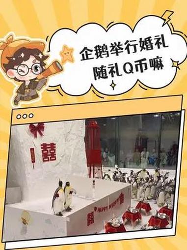 这全是来搂席的 哪有一个真心祝福 QQ 企鹅 娱乐评论大赏 搞笑 情侣