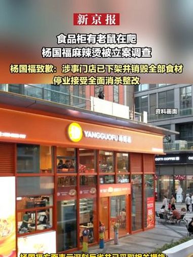 食品柜有老鼠在爬 杨国福麻辣烫被立案调查 杨国福致歉:涉事门店已下架并销毁全部食材 停业接
