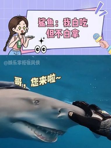 第一次从鲨鱼脸上看到谄媚的表情 鲨鱼 动物 可爱 小动物能有什么坏心思 内容启发搜索