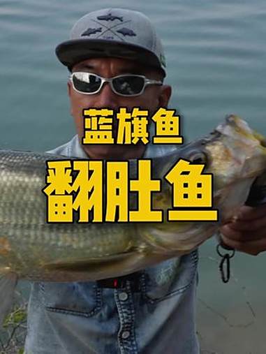 容易抛,好操控,夜钓翘嘴更合适 夏天正是钓鱼时 路亚 钓鱼 野钓 路亚翘嘴