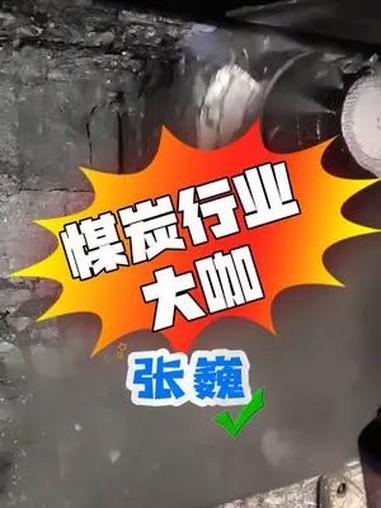 「煤炭行业大咖」张巍,国家矿山安全监察局陕西局局长