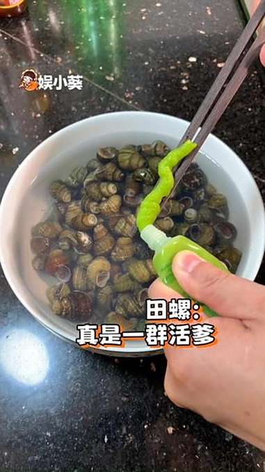 田螺:真是一群活爹 万万没想到 田螺 芥末 搞笑 破防