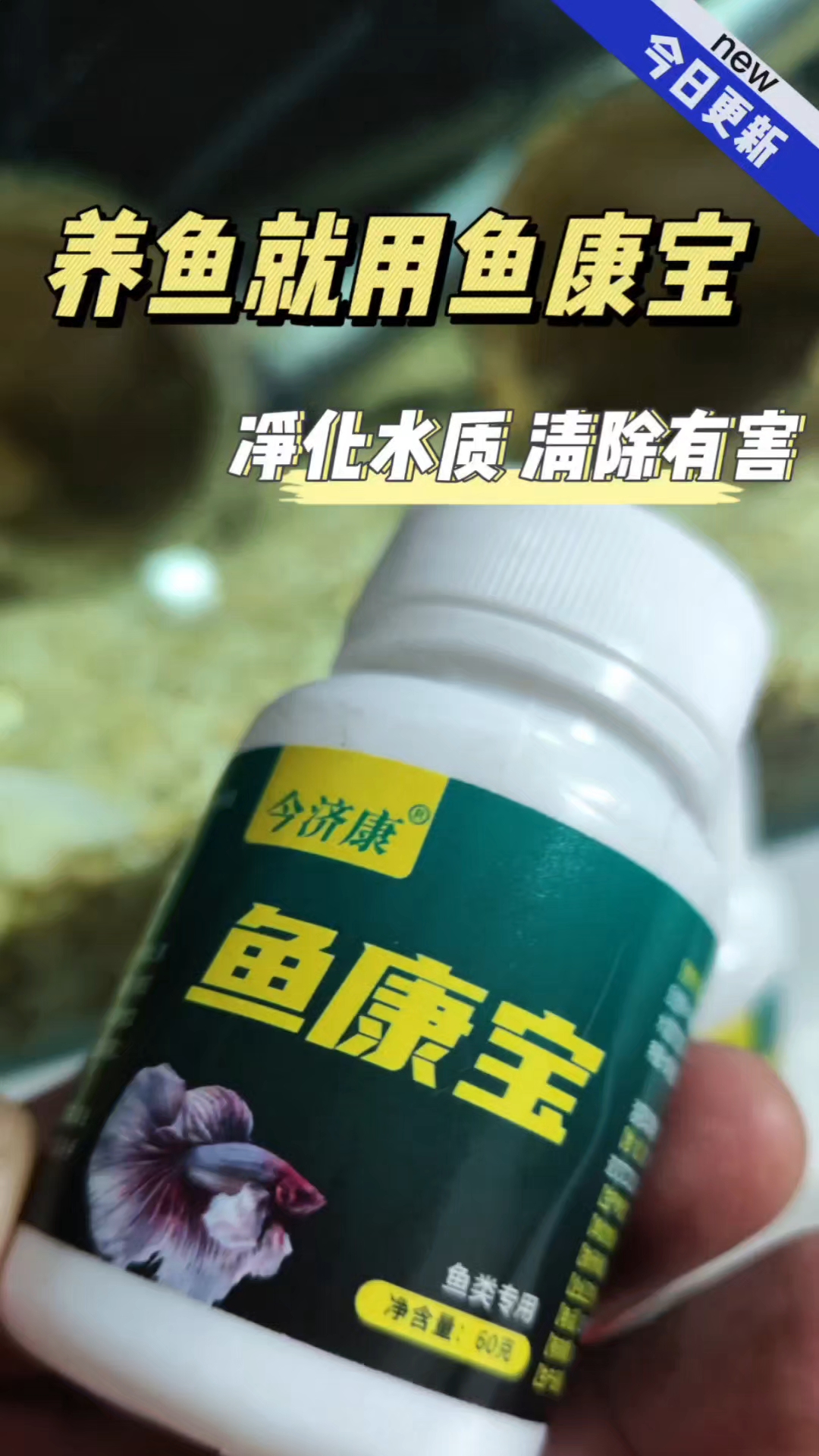养鱼就用鱼康宝,省心又省力,轻松去除水中各种有害物质!