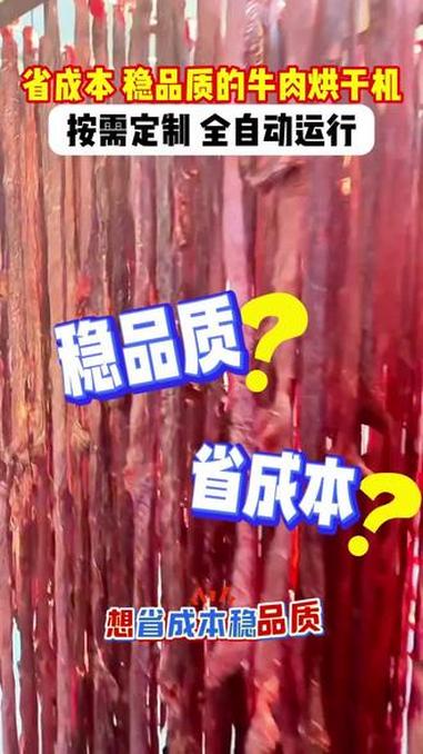 中烘守恒牛肉干烘干机 牛肉干量产想省成本、稳品质?找源头厂家!咱们这款烘干机,专为牛肉干加