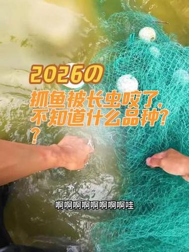 养了三四年的鱼塘,今天有空过来抓鱼回去吃,没想到网里居然有一只长虫,不小心被他咬了也不知道