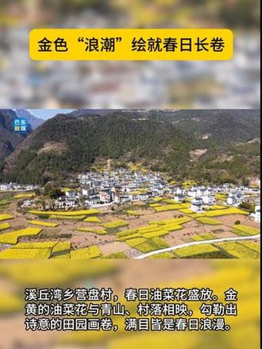 溪丘湾乡营盘村，春日油菜花竞相绽放，满目皆是醉人的春意。（全媒体记者 阙晋伟）#溪丘湾#油