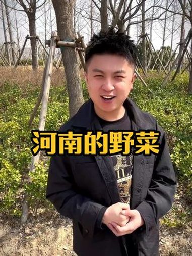 河南的那些经典野菜,你都吃过哪些呢?河南 春天野菜 蒸菜 河南美食
