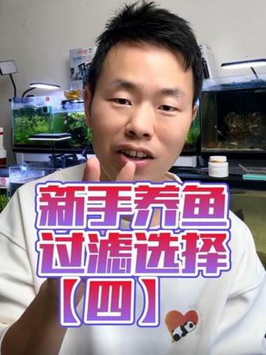 手把手教养鱼「第四节」新手过滤器的选择!明白什么是好过滤的标准就知道过滤该如何选了。#新手