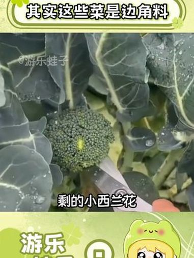 原来有些菜是边角料 水果蔬菜 热点 科普一下 万万想不到