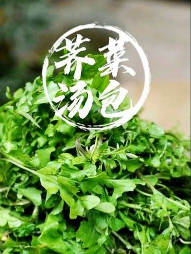 荠菜汤包,把春天的味道裹进汤包里(来源:宁海发布)食在宁波 荠菜汤包 宁海美食