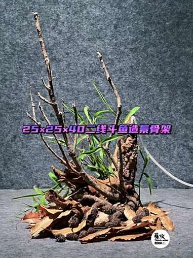 25×25×40二线斗鱼造景骨架 造景骨架 原生造景 二线斗鱼 原斗造景 创作灵感