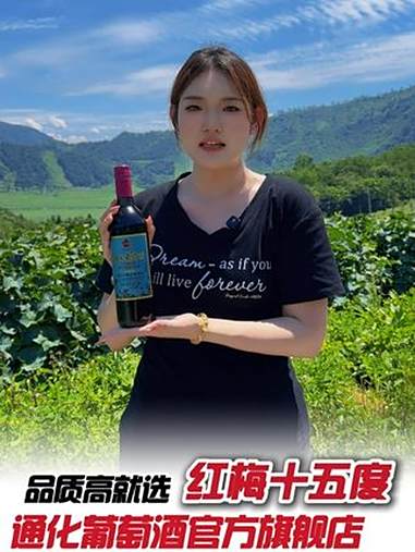 谁说长白山优质山葡萄是吹的?葡萄园实拍!红梅15度等你验货!通化葡萄酒 好酒推荐 品酒品人