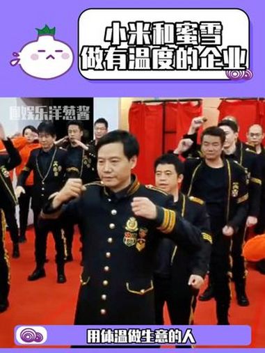 小米和蜜雪冰城,做平民的企业就能成功!小米 雷军 蜜雪冰城 亲民