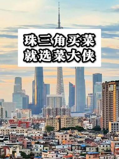 广东不知道在哪买菜的老板，蔬菜瓜果，生鲜肉禽，菜大侠线上自选，今日下单，明日送达！#菜大侠