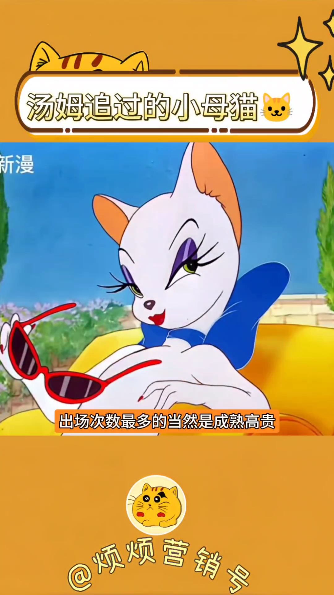 汤姆追过的猫猫都好漂亮!