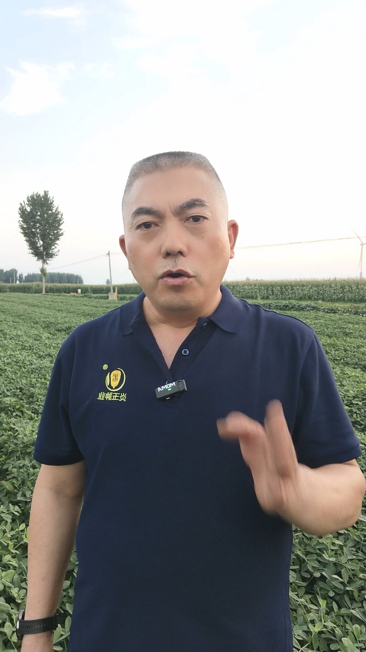 花生白绢病防治关键期