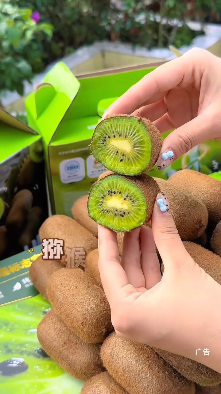 吃过一次就爱上的修文猕猴桃你吃过吗?
