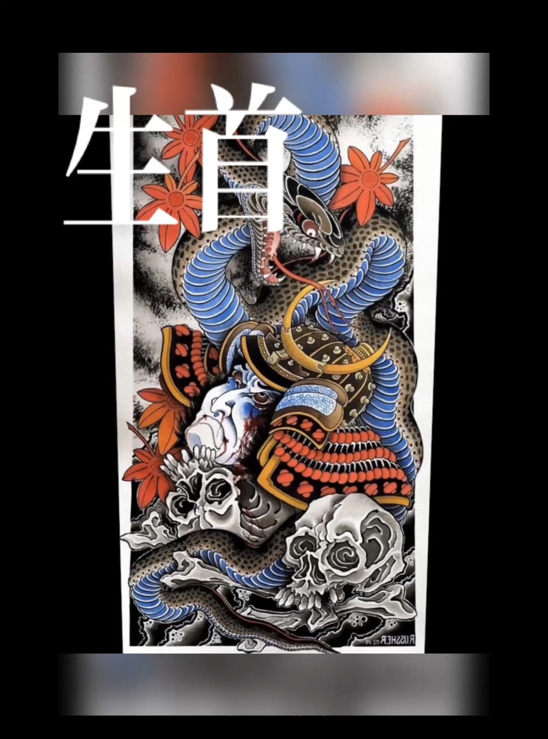 猛蛇盘生首,霸气侧漏#老传统生首 #纹身手稿 #防水纹身贴