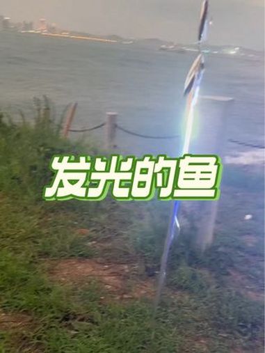 带起来一条鱼身上居然会发光,原来这只是反光!钓鱼 有趣 反光 带鱼