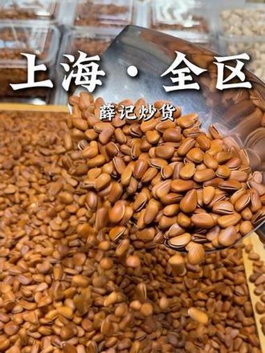 薛记的新春礼盒都好高级！##薛记炒货 #薛记年货节 #薛记炒货23周年庆 #这才是我过年想
