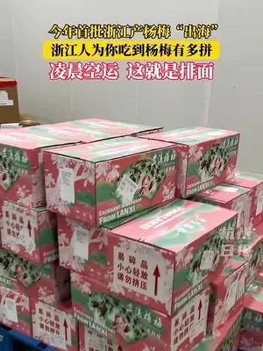 6月14日 浙江杭州 浙江人为你吃到杨梅有多拼,凌晨空运,这就是排面!