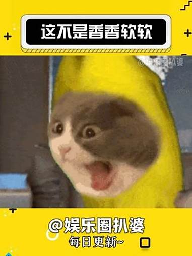 这不是香香软软，一定要多锻炼 娱乐 娱乐评论大赏 锻炼